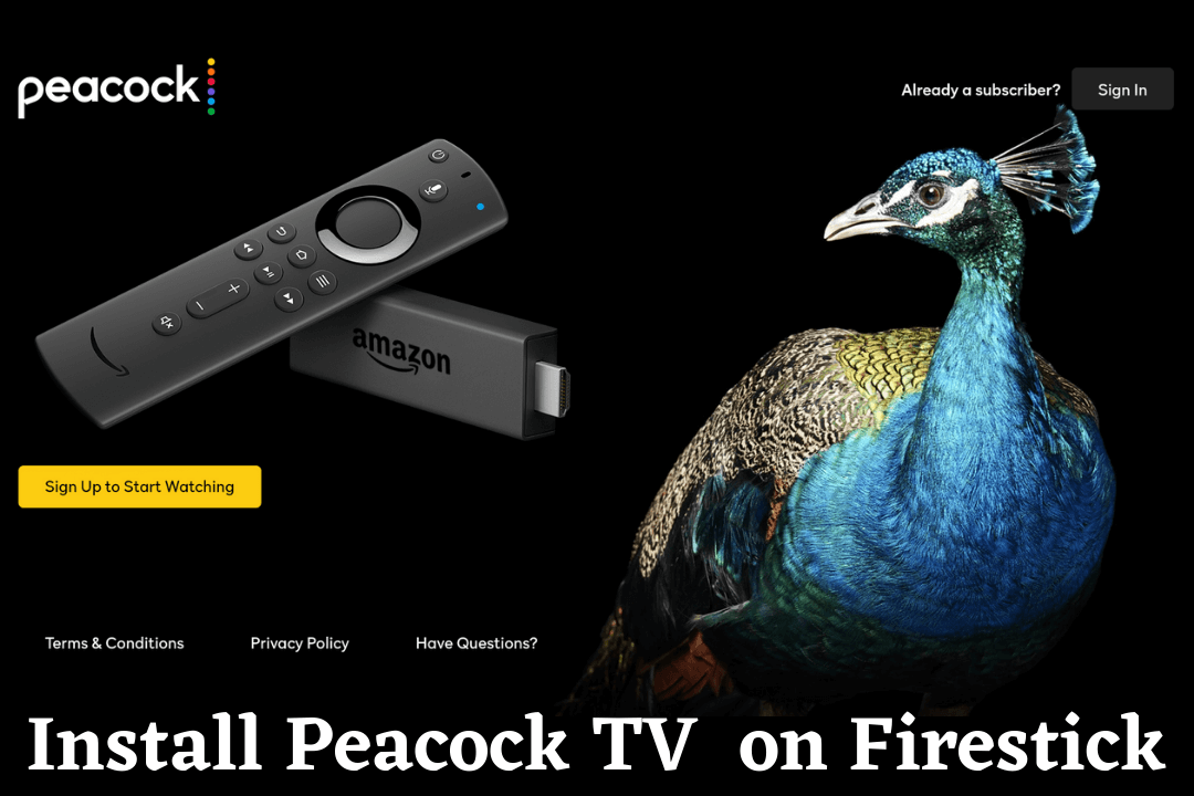 How-to-Install-Peacock-TV-App-on-FirestickFire-TV