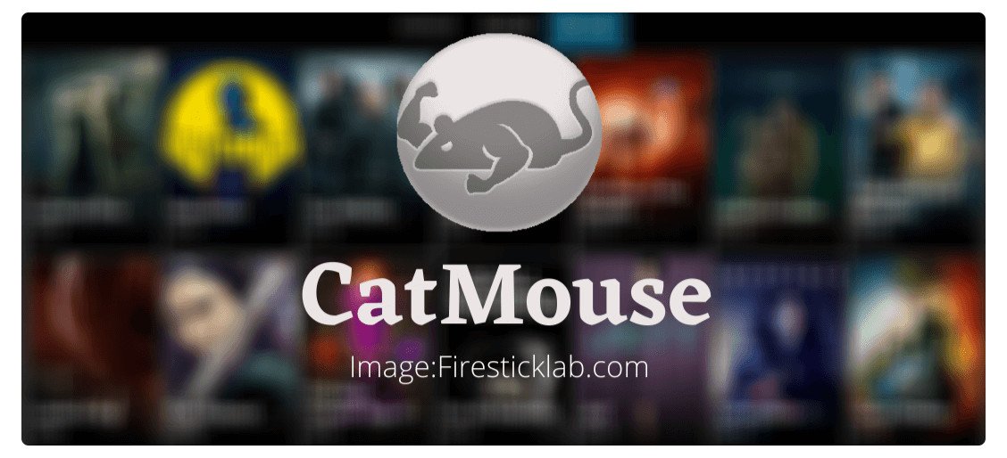 What-is-CatMouse